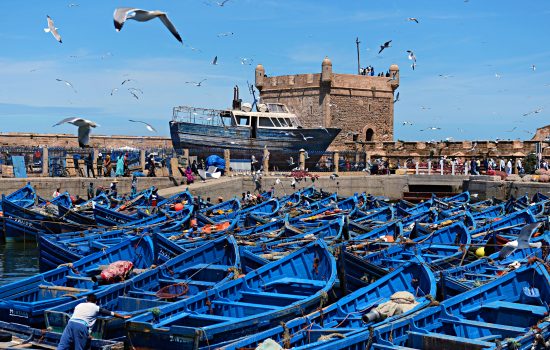 Blue boats in M’Diq, Morocco