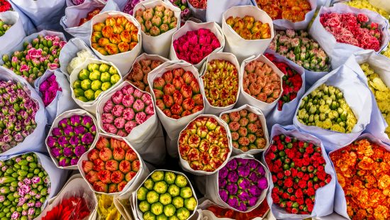 Multi colour bouquets of flowers