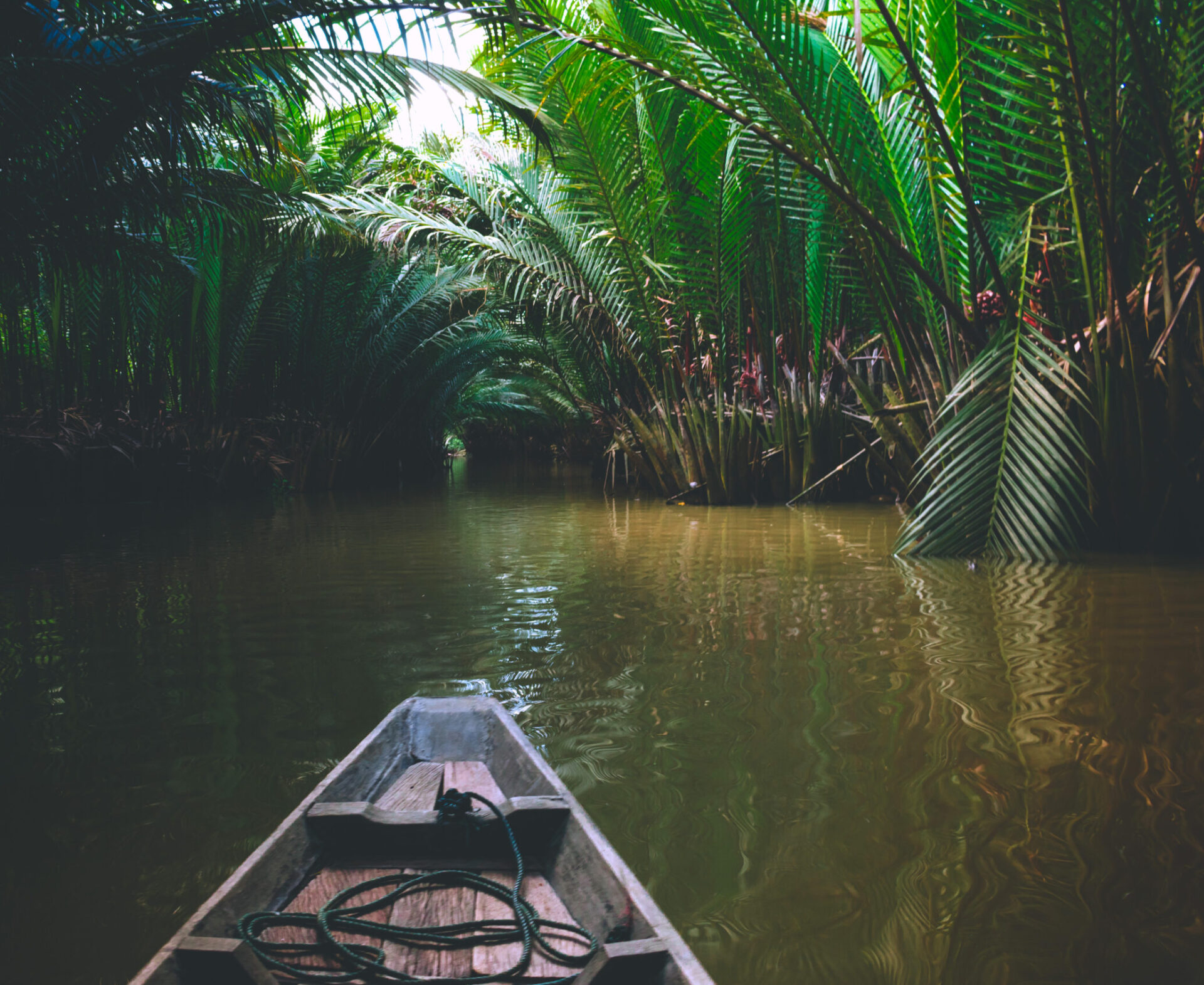 Treasures of the Mekong River Cruise Journeys by Van Dyke